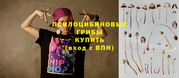 СК Нея