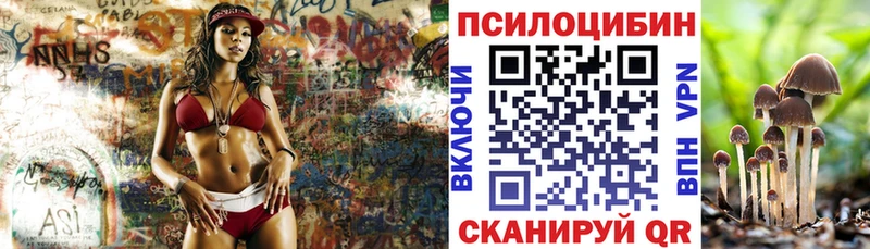 Купить  Суворов  Галлюциногенные грибы MAGIC MUSHROOMS 